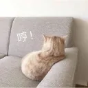 angry