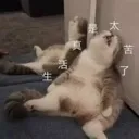 lazy