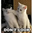 dontlook