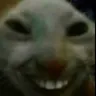 xdd