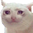 I Cry Discord Emoji