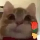 emoji_292