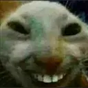 UUC_Xd UUC_Xd