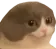 shokoladGe