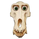 skull
