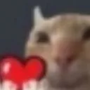 XwX