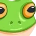 frog_stare frog_stare