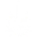 berserker berserker