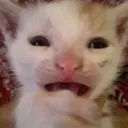 wah