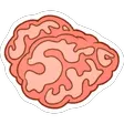 brain