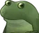 frog_stare
