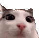 plink