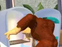 giphy