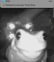Frogge Discord Emoji