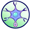 Neurons2