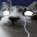 cys