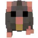 therat