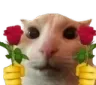 catroses