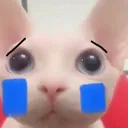 sadge