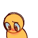 imsorrywhat