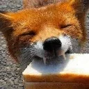 FH_breadfox