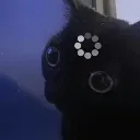FW_Lag