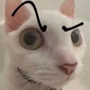 HUH
