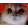 RAGEY