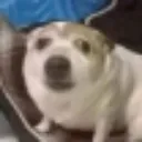 smol_Boom