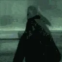 ocelotrun