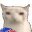 catEat