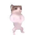 catPls