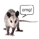 OmgOpossum