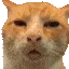 HUH