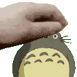 GC_PetTheTotoro