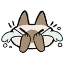 gCatCry Discord Emoji