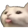 bleh
