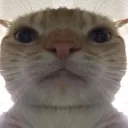 blaze_stare