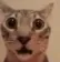 surprised