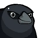 crow