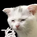 DepressedKitty