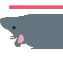 rat_pipe_FU