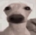 mfw