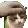 cat_rory