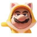 mariocostume