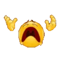 whyyyyyyy