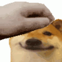 petpetdoge Discord Emoji
