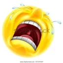 emoji_13