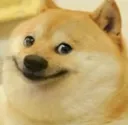 smiledoge