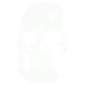 heavySkull